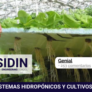 Curso de Sistemas Hidropónicos y Cultivos Sin Suelo