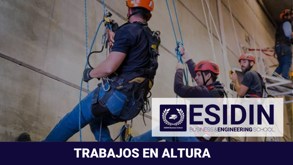 Curso Trabajos en Altura