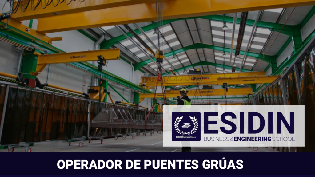 Tipos de Puentes Grúa: Guía Completa