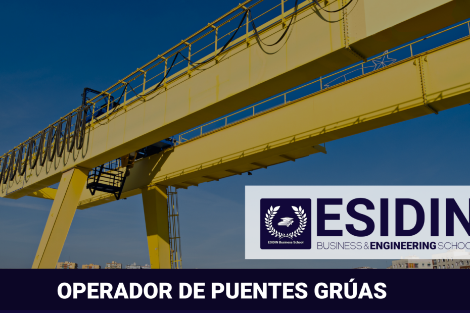 Curso de Operador de Puentes Grúas