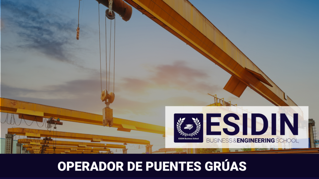 Curso de Operador de Puentes Gruas