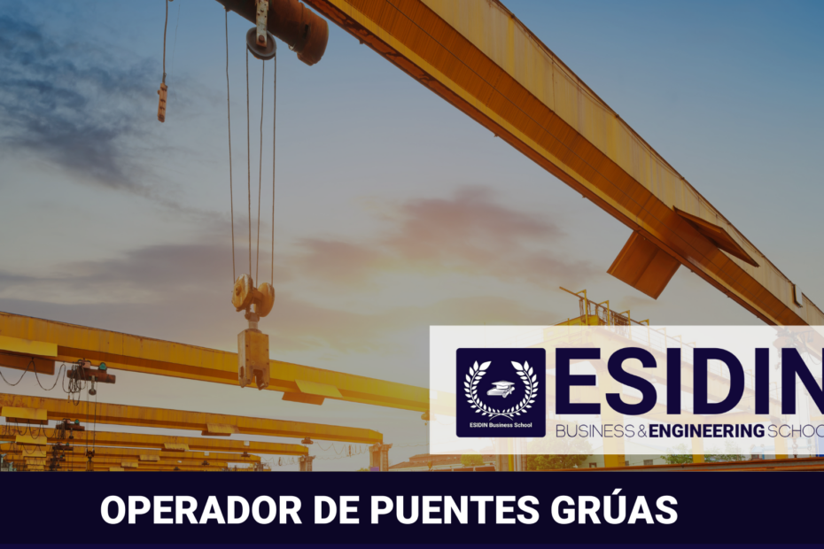 Curso de Operador de Puentes Gruas