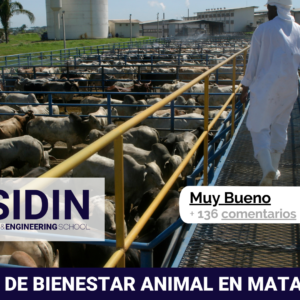 Curso de Bienestar Animal en Mataderos