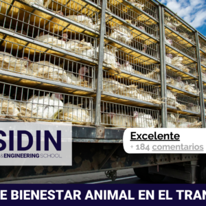 Curso de Bienestar Animal en el Transporte