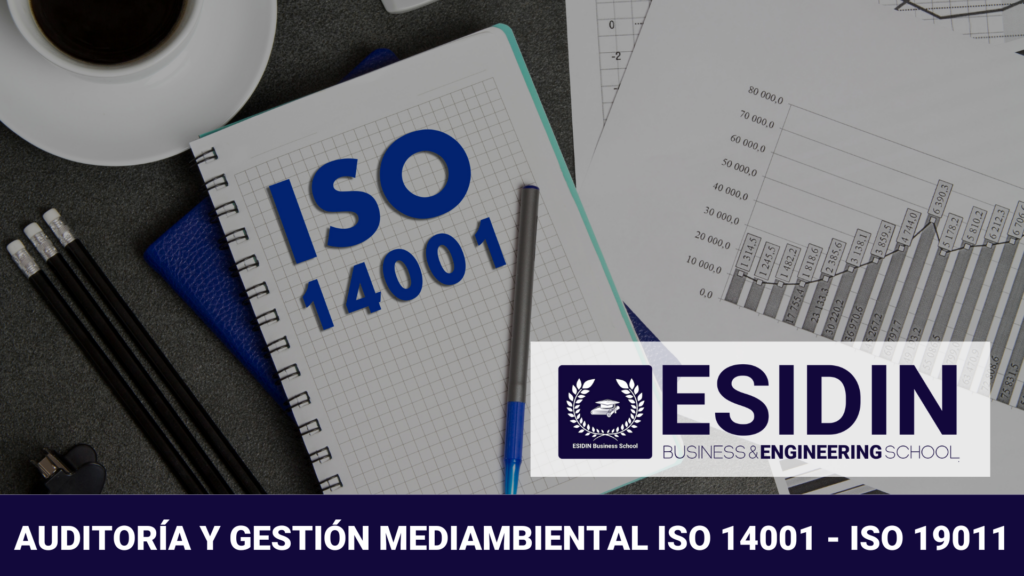 Curso en Auditoría y Gestión Medioambiental ISO 14001- ISO 19011