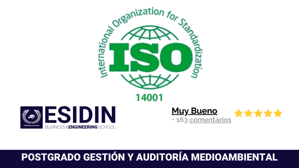 Curso Auditoría y Gestión Medioambiental ISO 14001 - ISO 19011