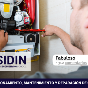 Curso de Funcionamiento, Mantenimiento y Reparación de Calderas de Gas