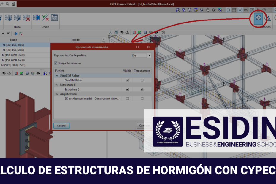 Curso de Cálculo de Estructuras de Hormigón con CYPECAD