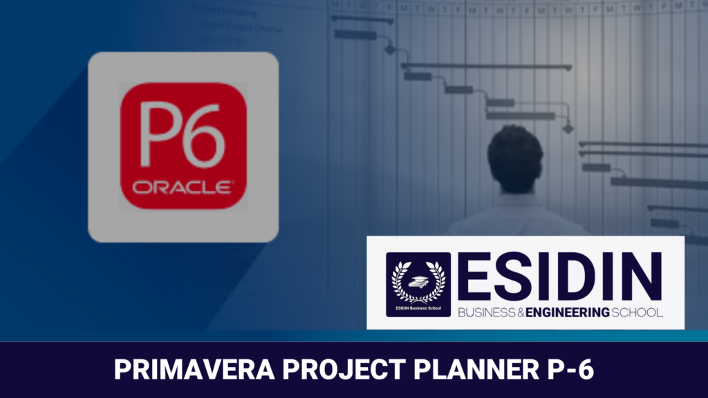 Curso de Primavera Project Planner P-6