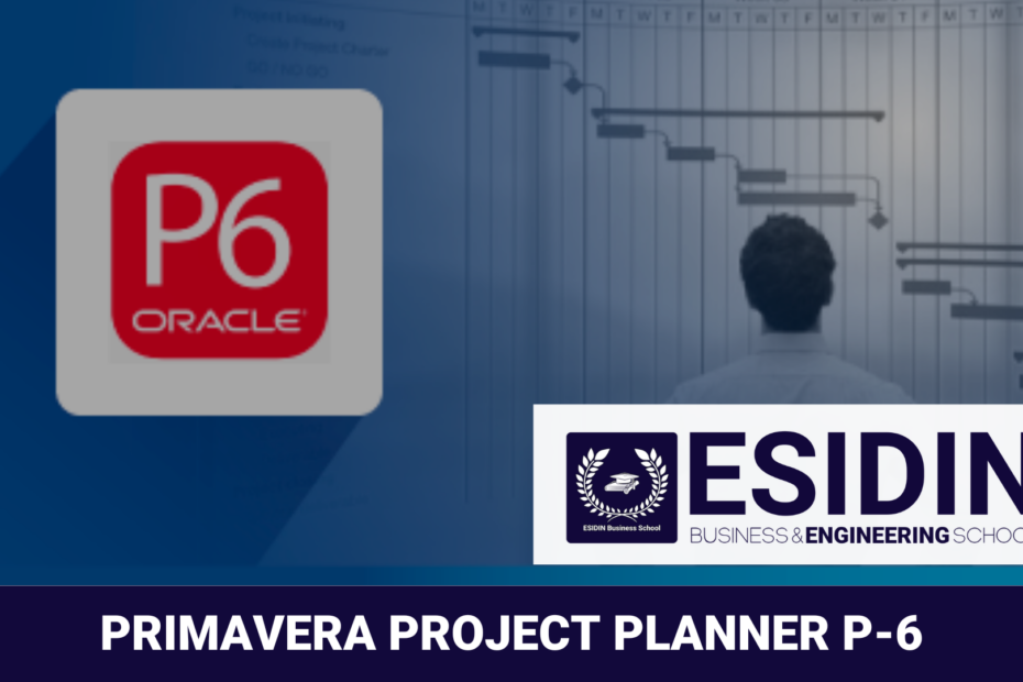 Curso de Primavera Project Planner P-6