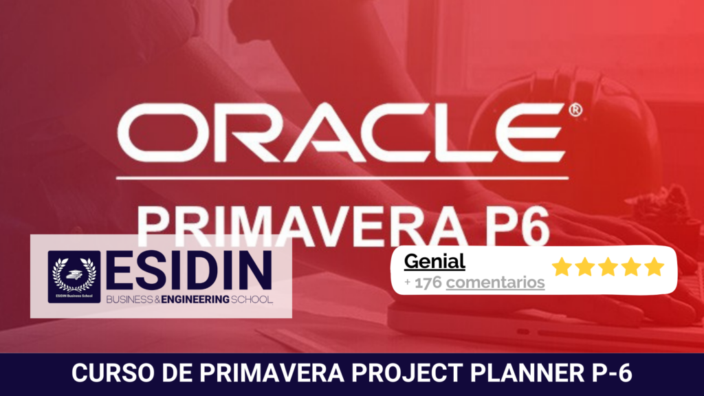 Curso de Primavera Project Planner P-6